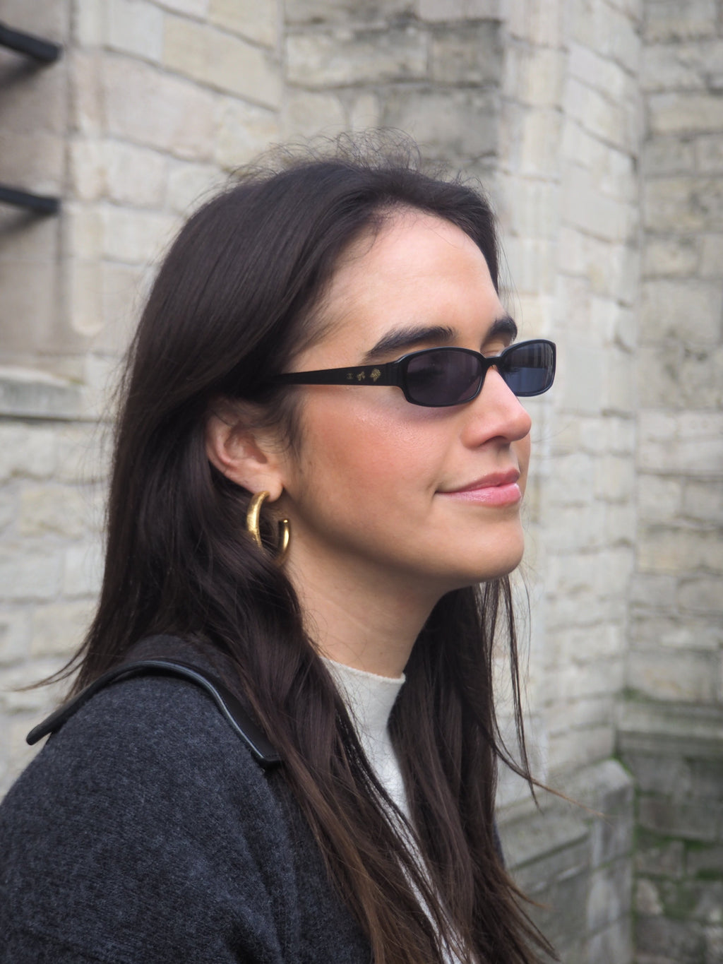 CHANEL 3145 SUNGLASSES