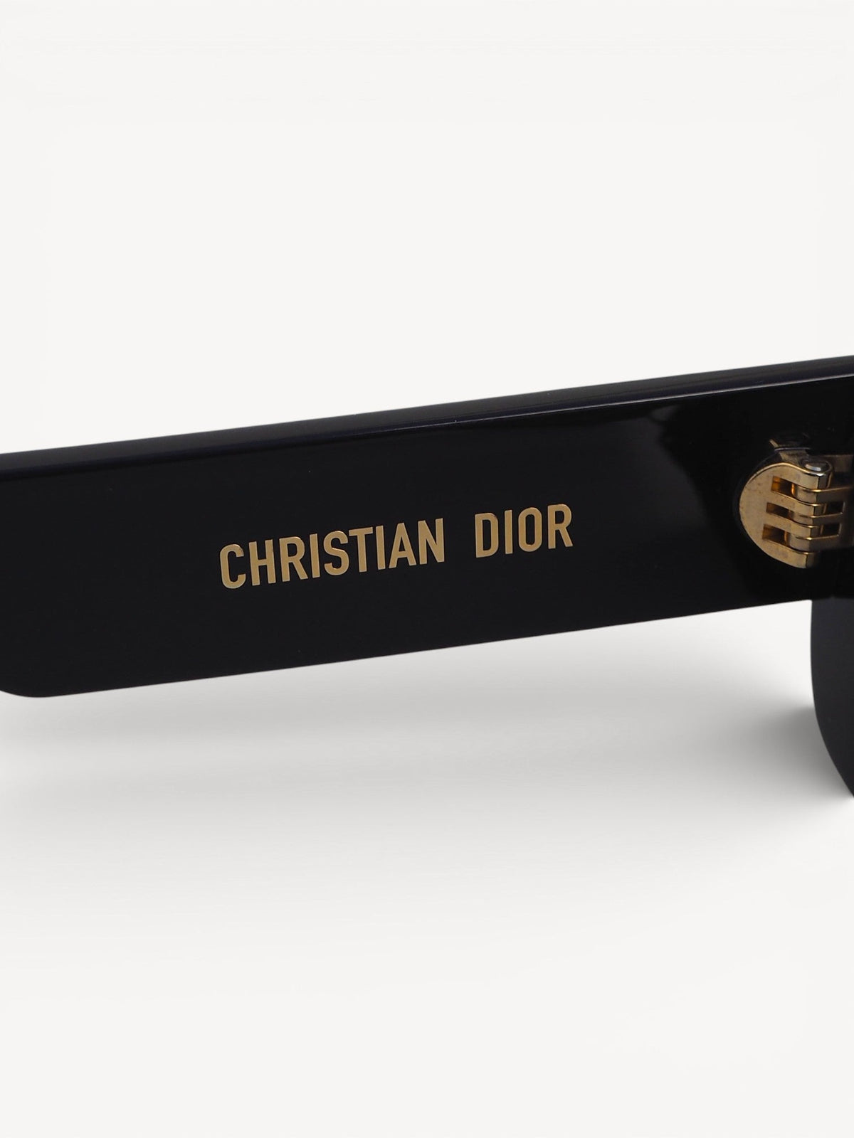 DIOR WILDIOR S2U SUNGLASSES